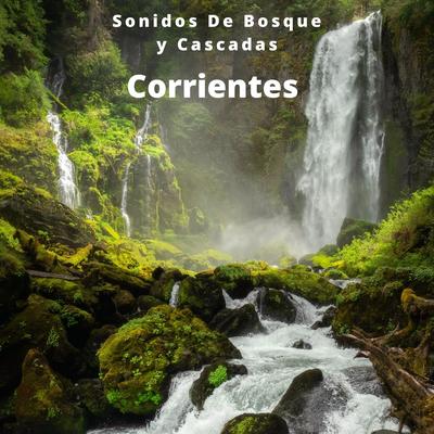 Corrientes: Sonidos De Bosque y Cascadas's cover