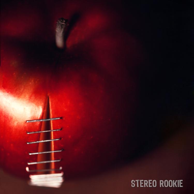 Stereo Rookie's avatar image