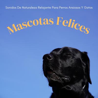 Mascotas Felices: Sonidos De Naturaleza Relajante Para Perros Ansiosos Y Gatos's cover
