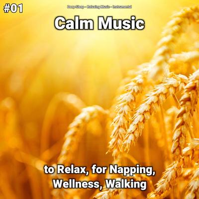 #01 Calm Music to Relax, for Napping, Wellness, Walking's cover