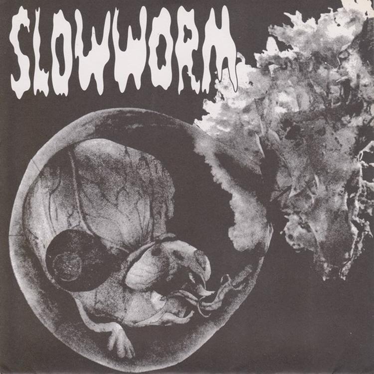 Slowworm's avatar image