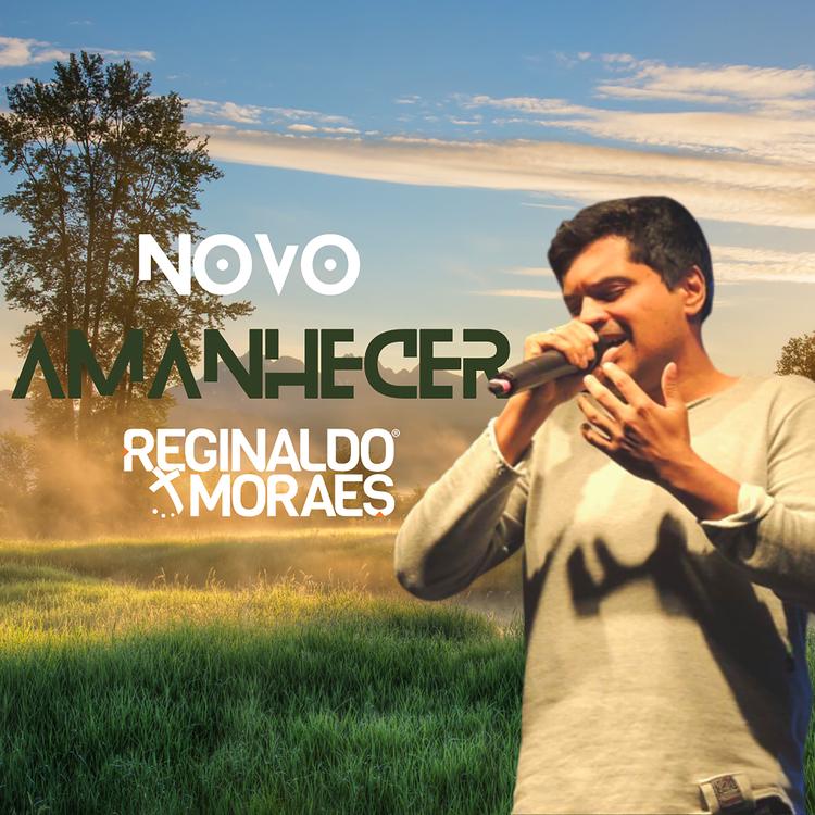 Reginaldo Moraes's avatar image