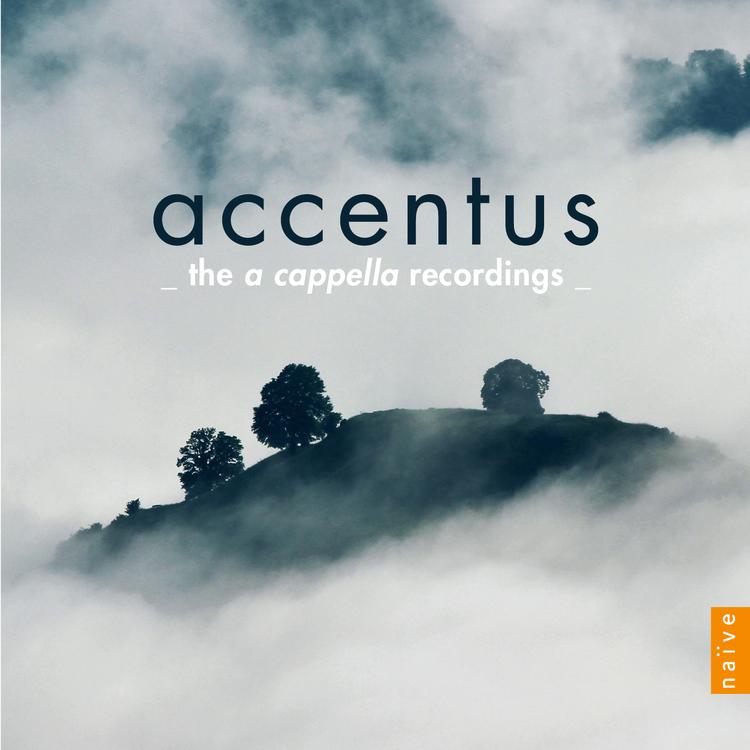 Accentus's avatar image