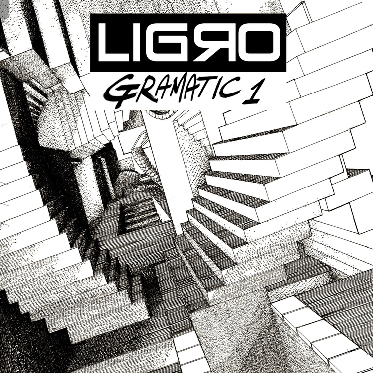 Ligro's avatar image