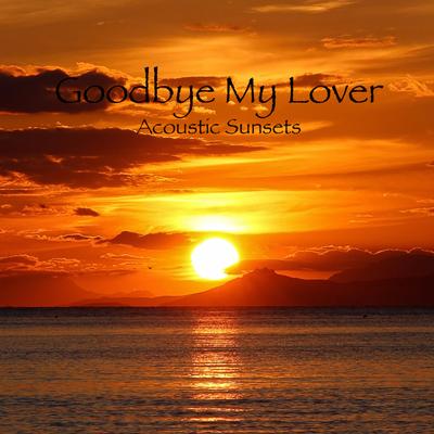 Goodbye My Lover By Acoustic Sunsets's cover