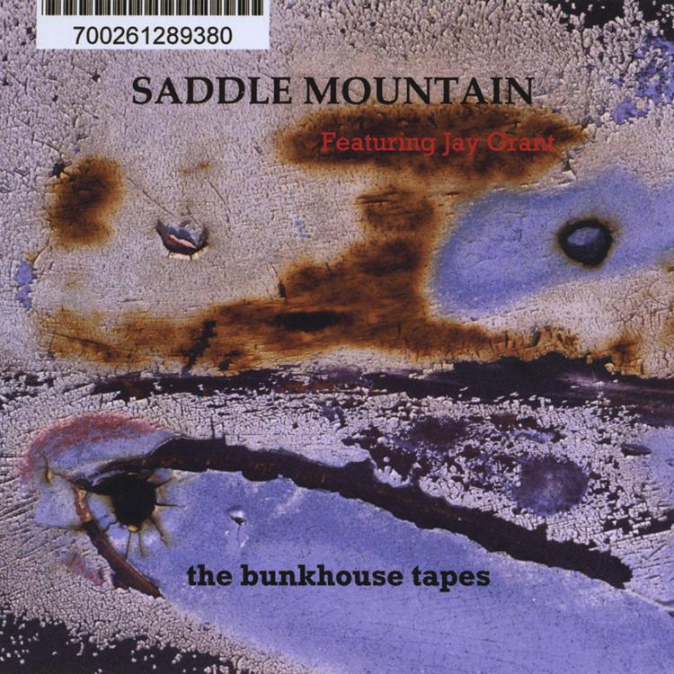 Saddle Mountain's avatar image