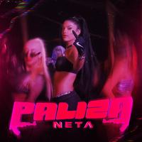 Neta Vvs's avatar cover