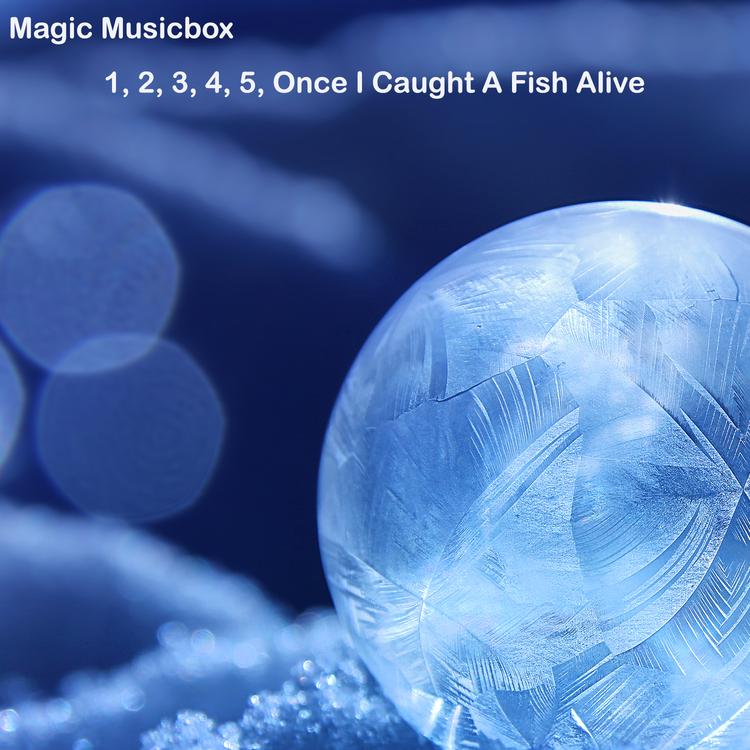 Magic Musicbox's avatar image