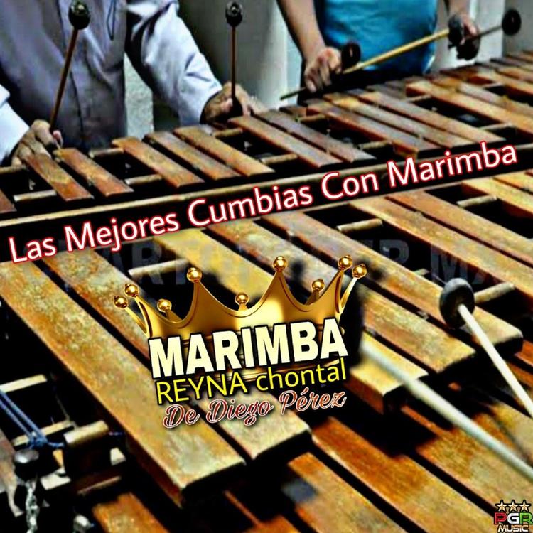 Marimba Reyna Chontal de Diego Perez's avatar image