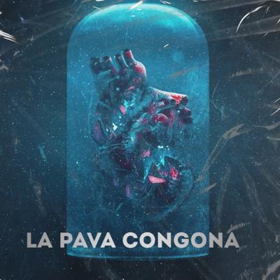 LLANTO DE LA TORTUGA's cover