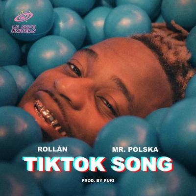 TikTok Song (feat. Mr. Polska & Puri)'s cover