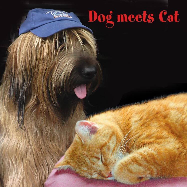 Dog and cat's avatar image