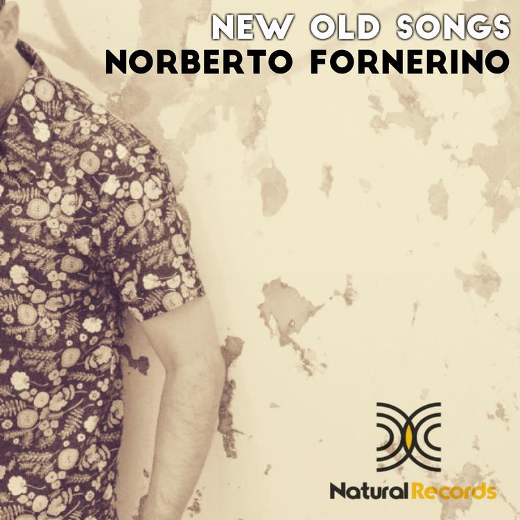 Norberto Fornerino's avatar image