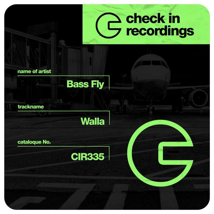 Bass Fly's avatar image