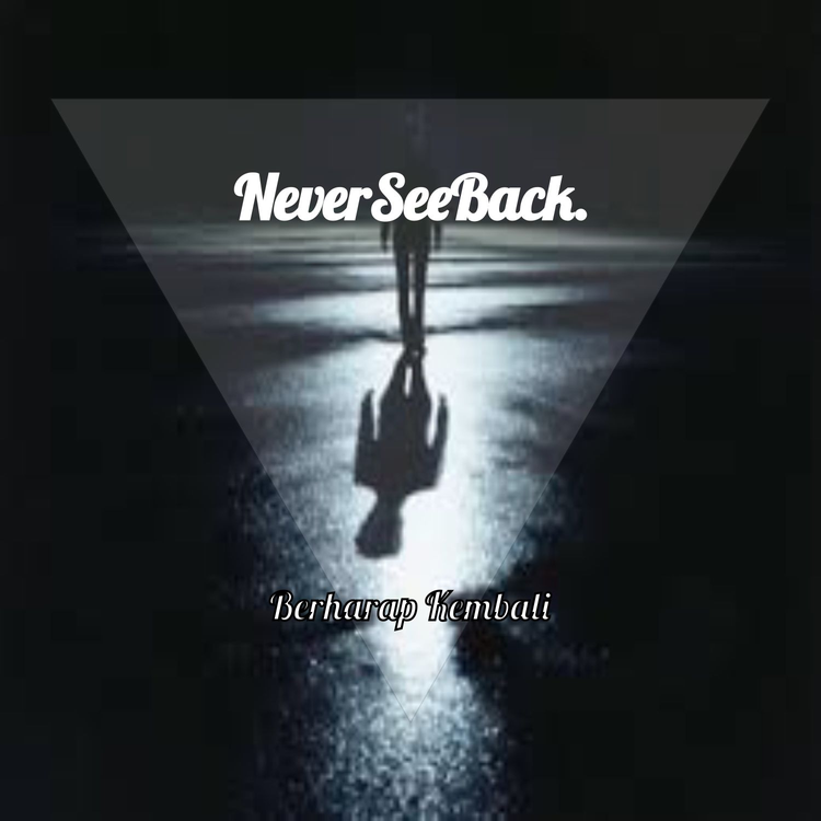 Never See Back's avatar image