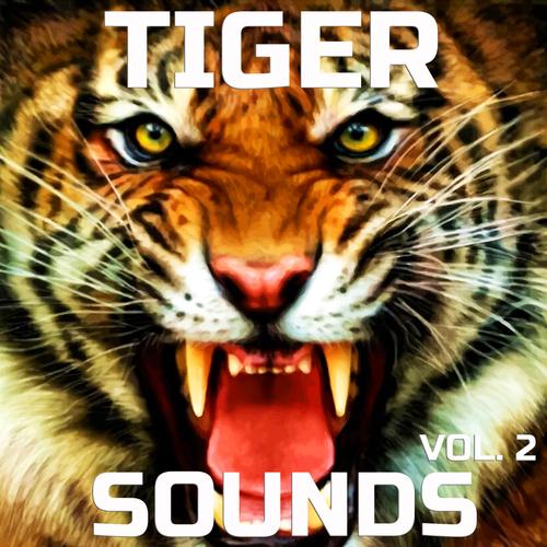 Tiger Roar Sound Effects  Sounds Effects 
