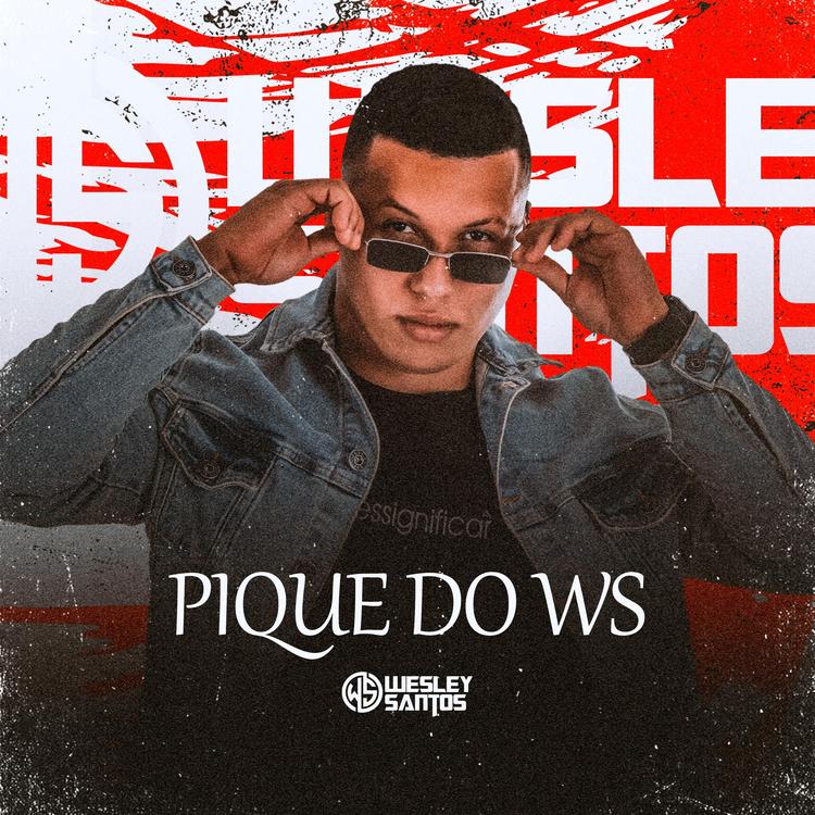 Dj Wesley Santos's avatar image