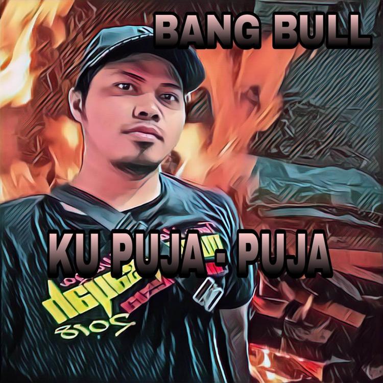 BANG BULL's avatar image