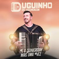 Duguinho do Acordeon's avatar cover