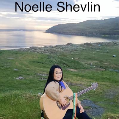 The Homes of Donegal's cover