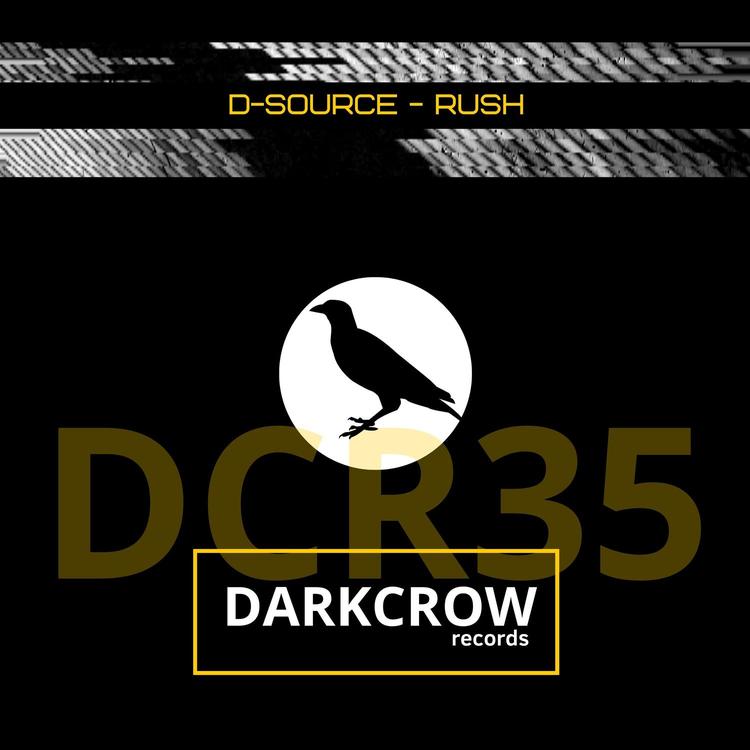 D-Source's avatar image