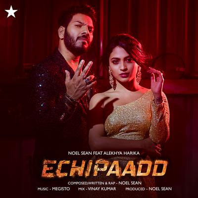 Echipaadd's cover