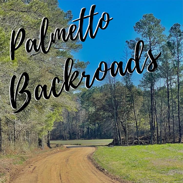 Palmetto Backroads's avatar image