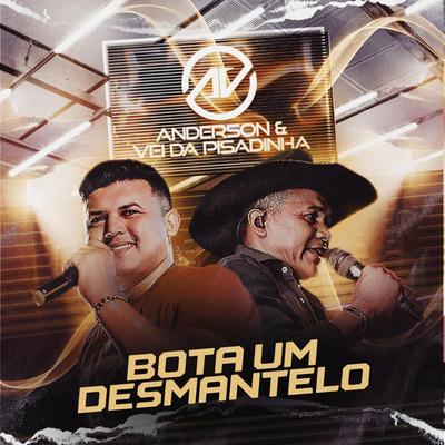 Bota um Desmantelo By Anderson & Vei da Pisadinha's cover