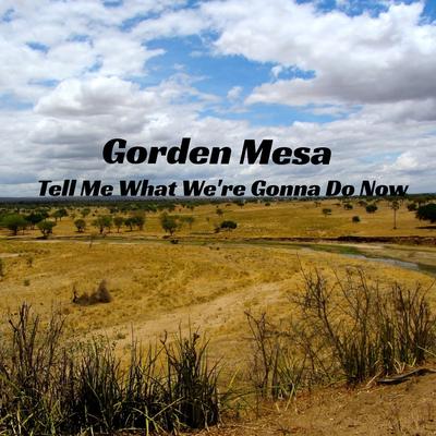 Tell Me What We're Gonna Do Now By Gorden Mesa's cover