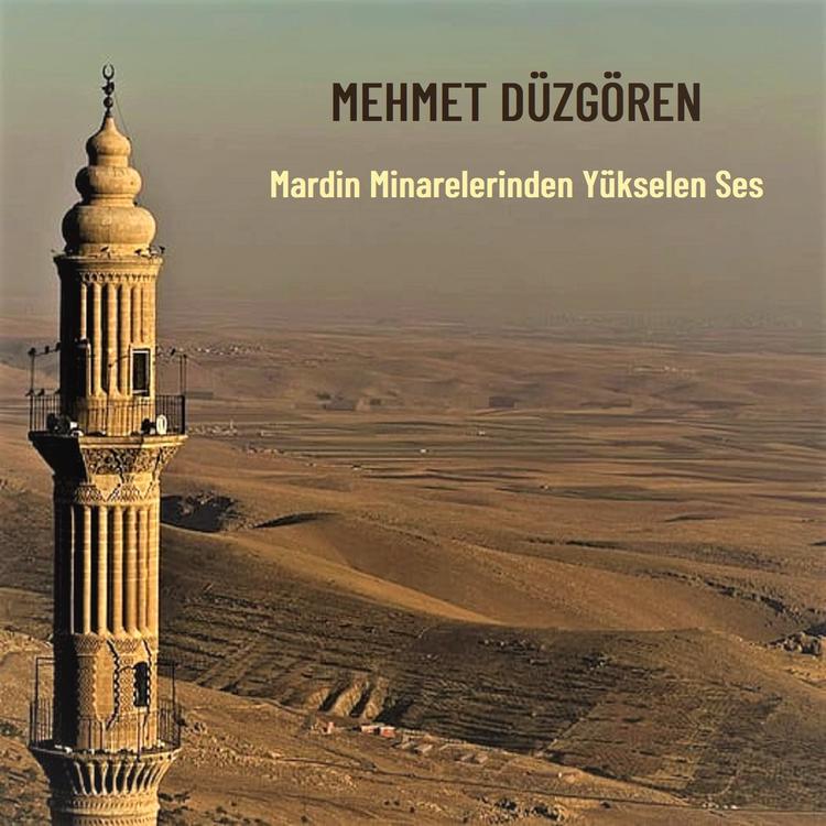 Mehmet Düzgören's avatar image