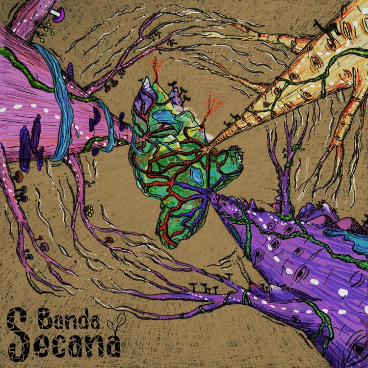 Banda Secana's avatar image