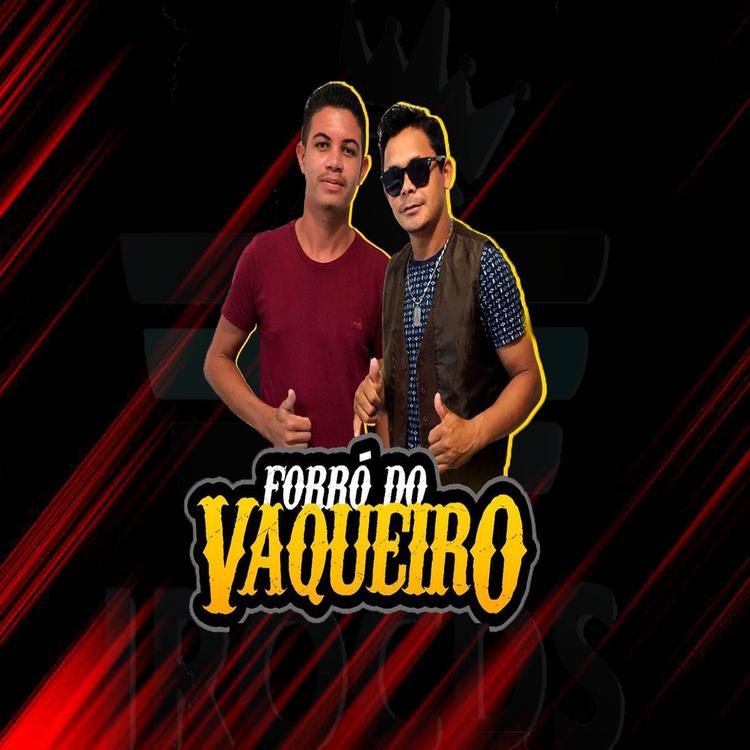 Joãzinho F. Do Vaqueiro's avatar image