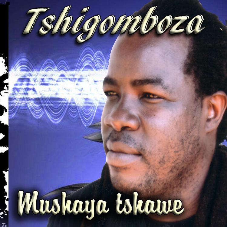 Peter Tshirovhe's avatar image