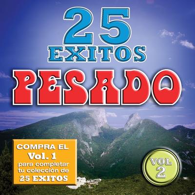 25 Exitos Pesados (Vol. 2) (USA)'s cover