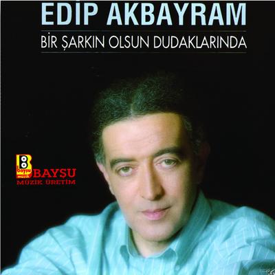 Bir Şarkın Olsun Dudaklarında's cover