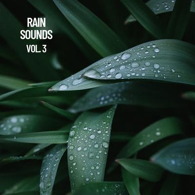 Rain Sounds For Sleep Pt. 8 By Rain Sounds, Rain Sounds FX, The Entrainment's cover