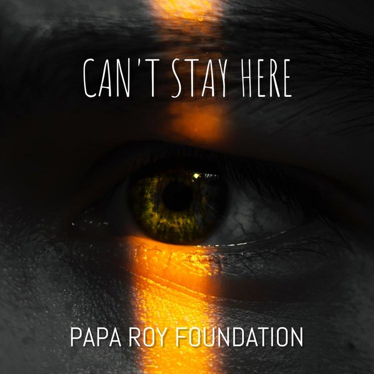 Papa Roy Foundation's avatar image