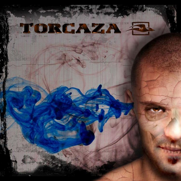 Torcaza's avatar image