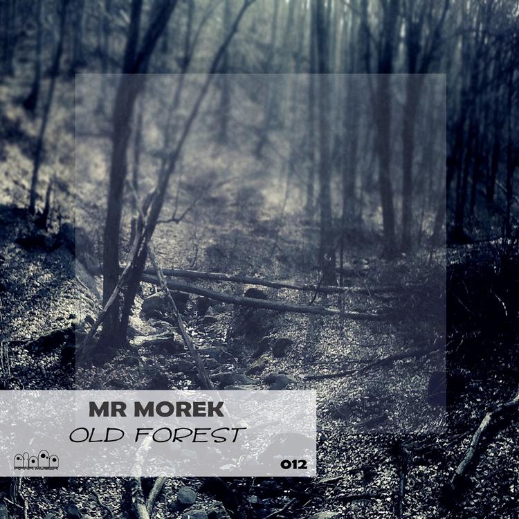 Mr Morek's avatar image