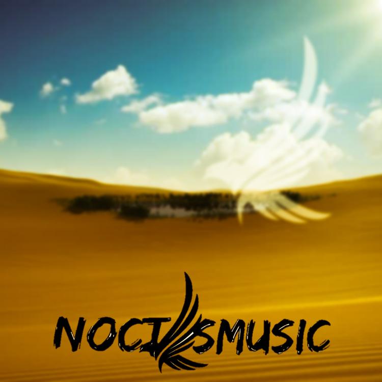 NoctisMusic's avatar image