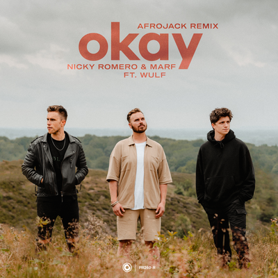 Okay (Afrojack Remix) By Marf, Nicky Romero, Wulf, AFROJACK's cover