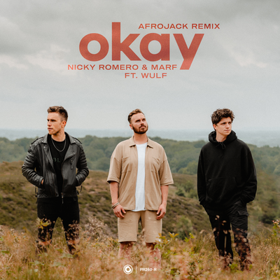 Okay (Afrojack Remix) By MARF, Nicky Romero, Wulf, AFROJACK's cover