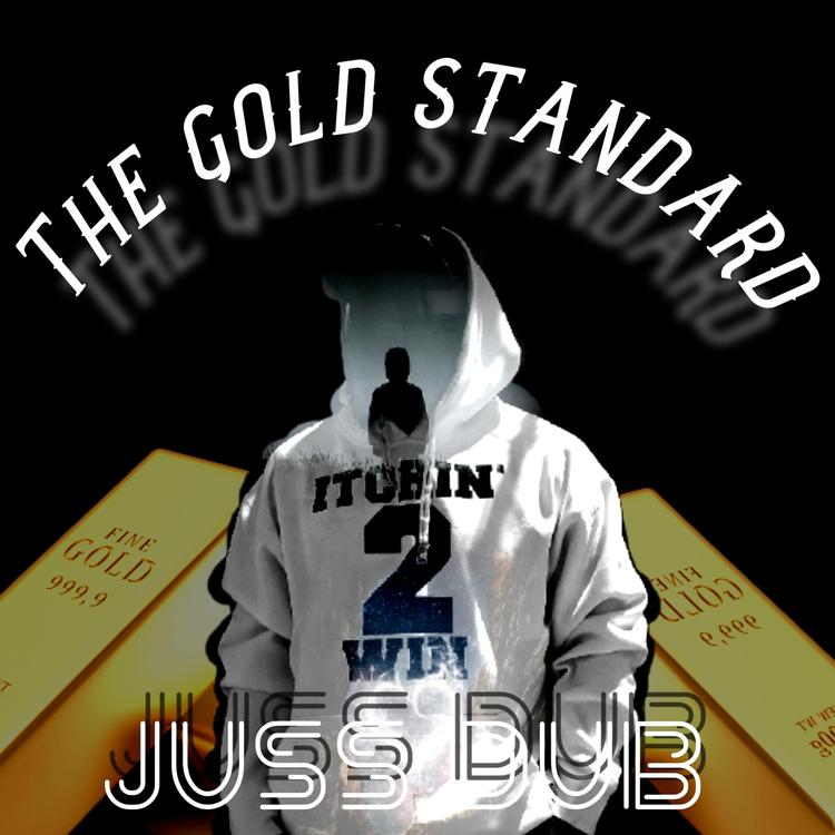 Juss Dub's avatar image