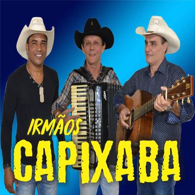 Irmãos Capixaba, Vol. 10's cover