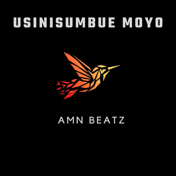 Amn Beatz's avatar image