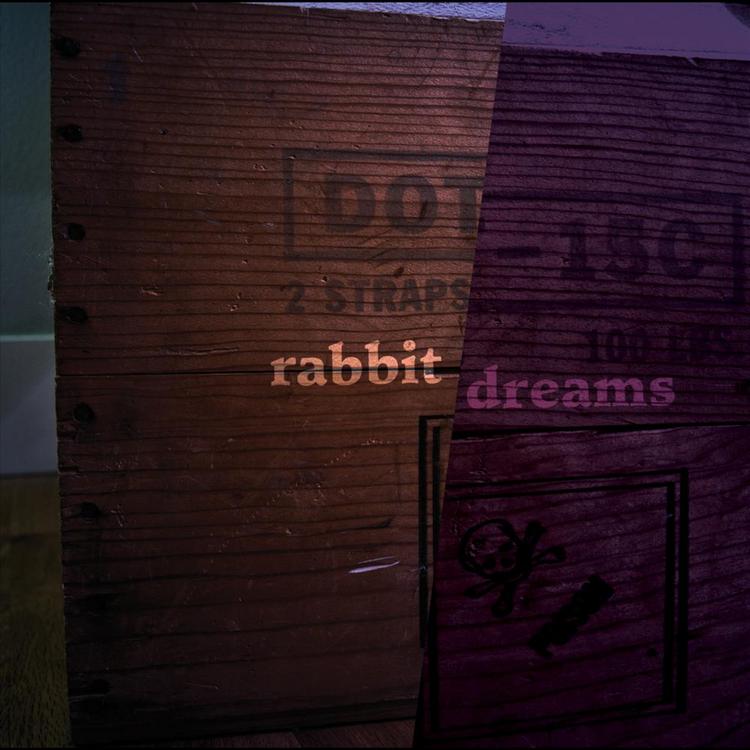 Rabbit Dreams's avatar image