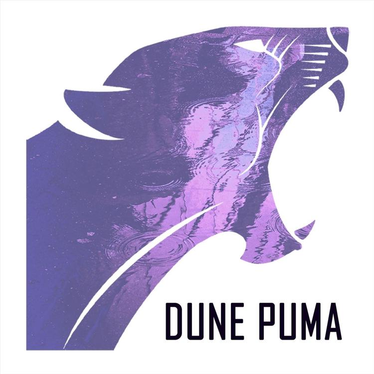 Dune Puma's avatar image