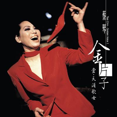 金片子 壹・天涯歌女's cover