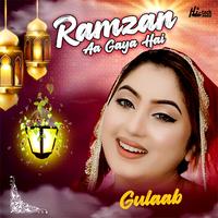 Gulaab's avatar cover