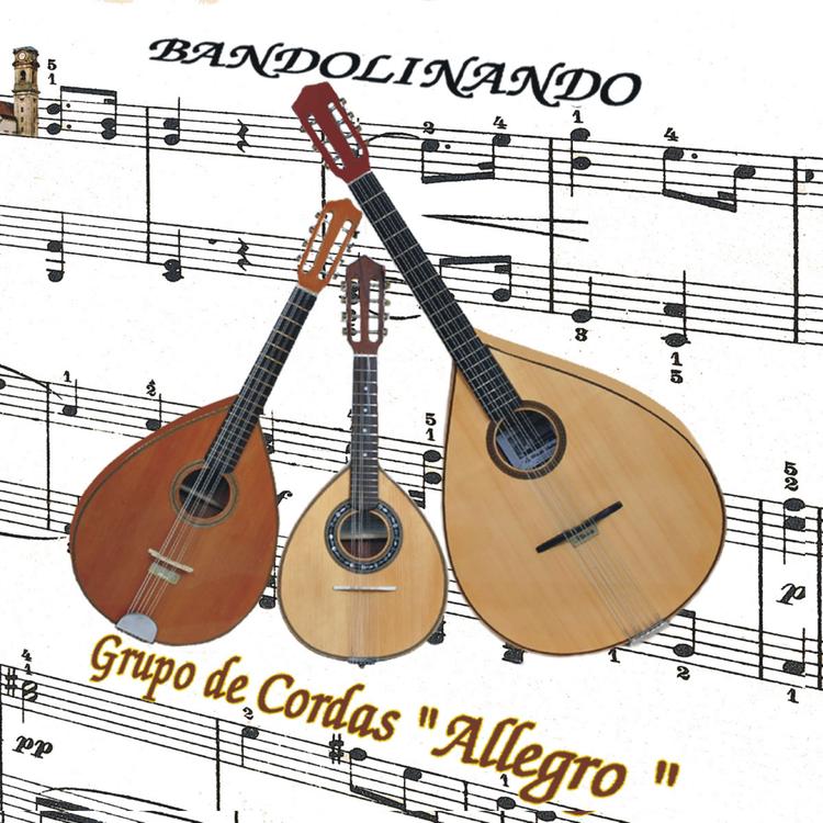 Grupo de Cordas Allegro's avatar image